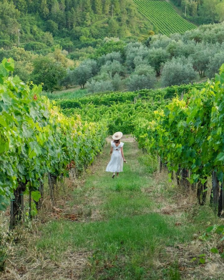 Casolese Villa Greve in Chianti Exterior photo